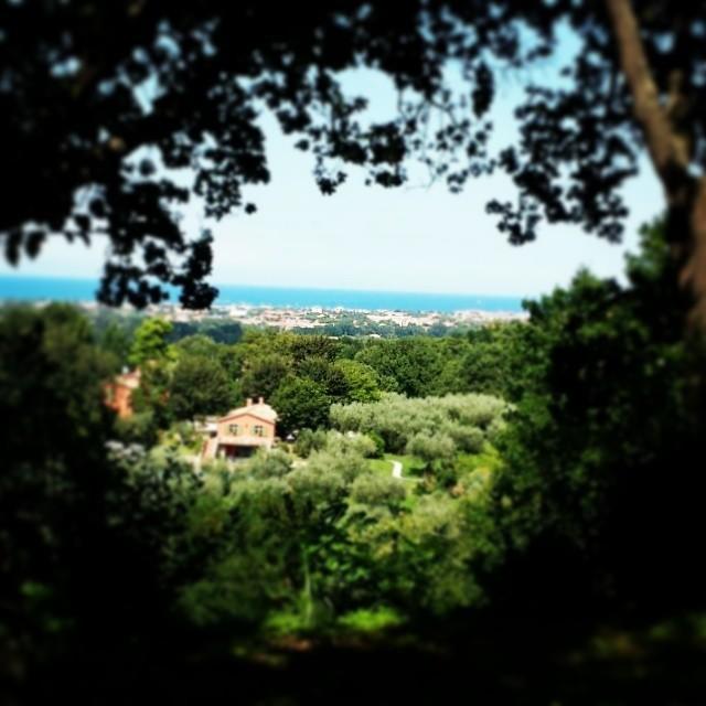 Agriturismo La Barca Nel Bosco Rosciano  ภายนอก รูปภาพ